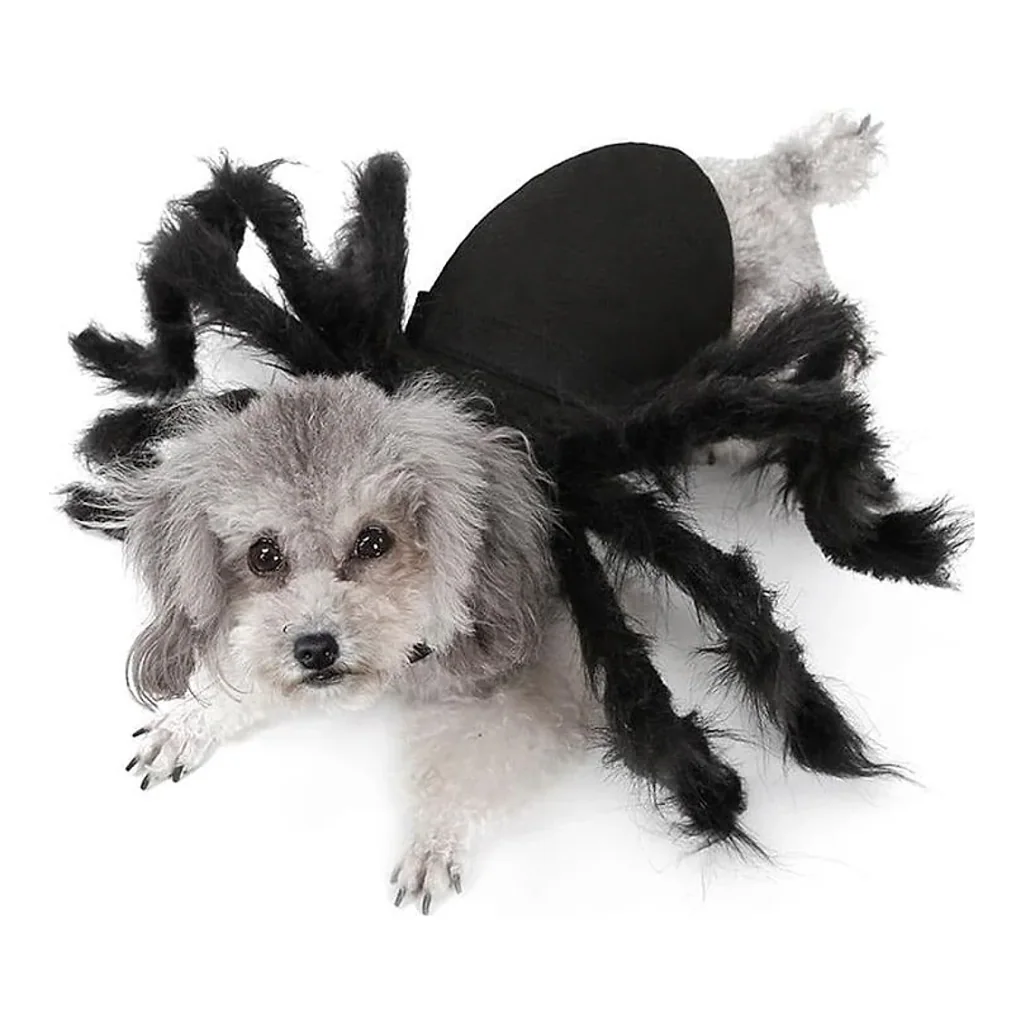Fantasia Aranha | para Cachorro e Gato