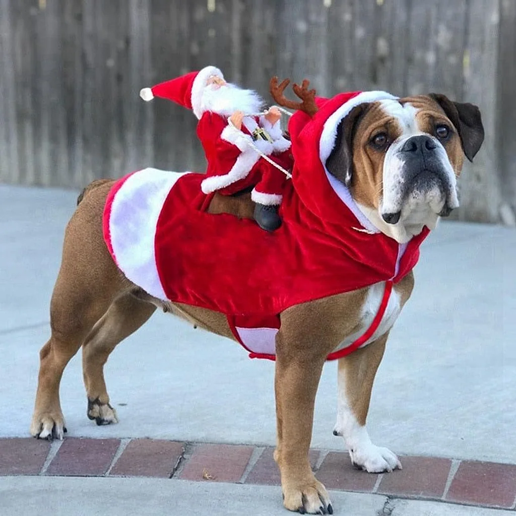 Fantasia Pet Noel | Para Cachorro — imagem 2