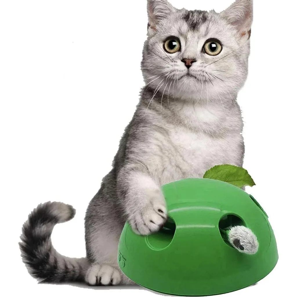 Brinquedo de Movimento para Gatos