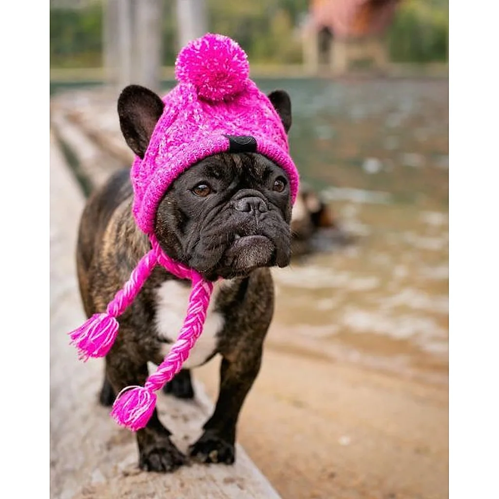 Gorro Pet | Para Cachorro e Gato — imagem 10