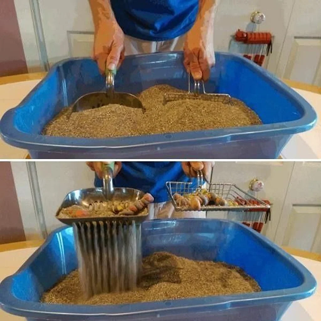 Pazinha Cat Toilet — imagem 15