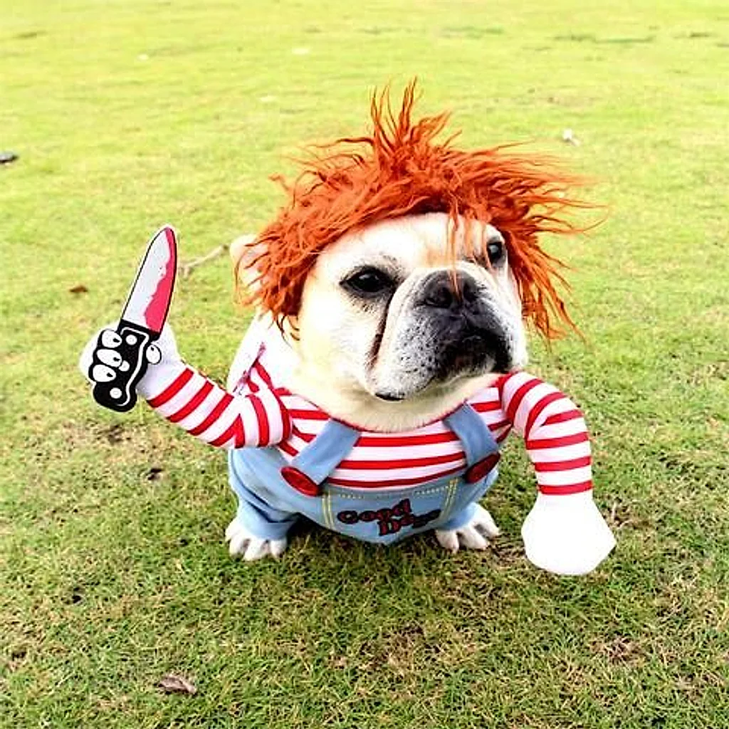 Fantasia Chucky | Para Cachorro — imagem 2
