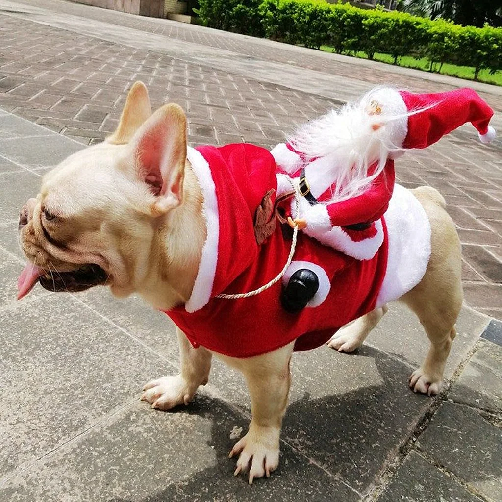 Fantasia Pet Noel | Para Cachorro — imagem 3