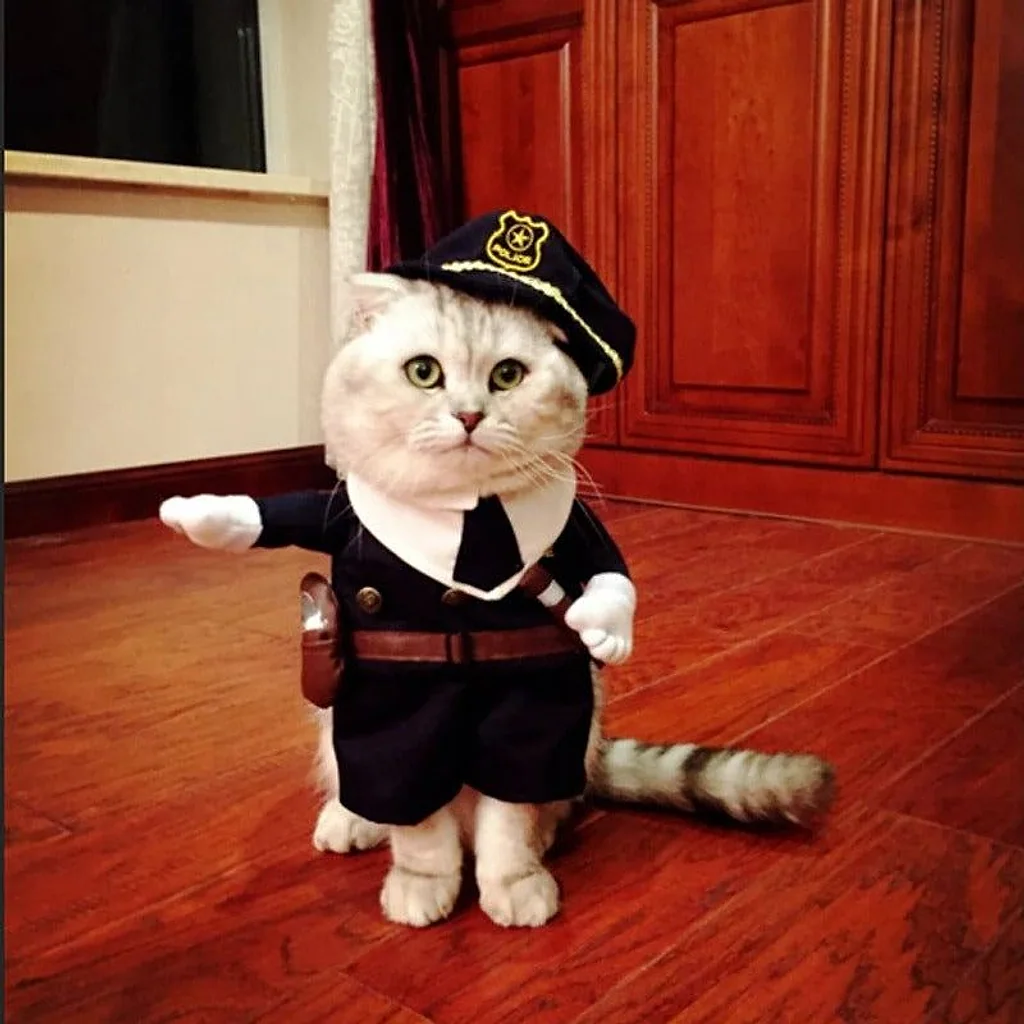 Fantasia Pet Policial | Para Cachorro e Gato — imagem 4