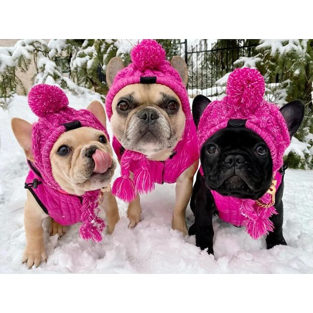 Gorro Pet | Para Cachorro e Gato — imagem 15