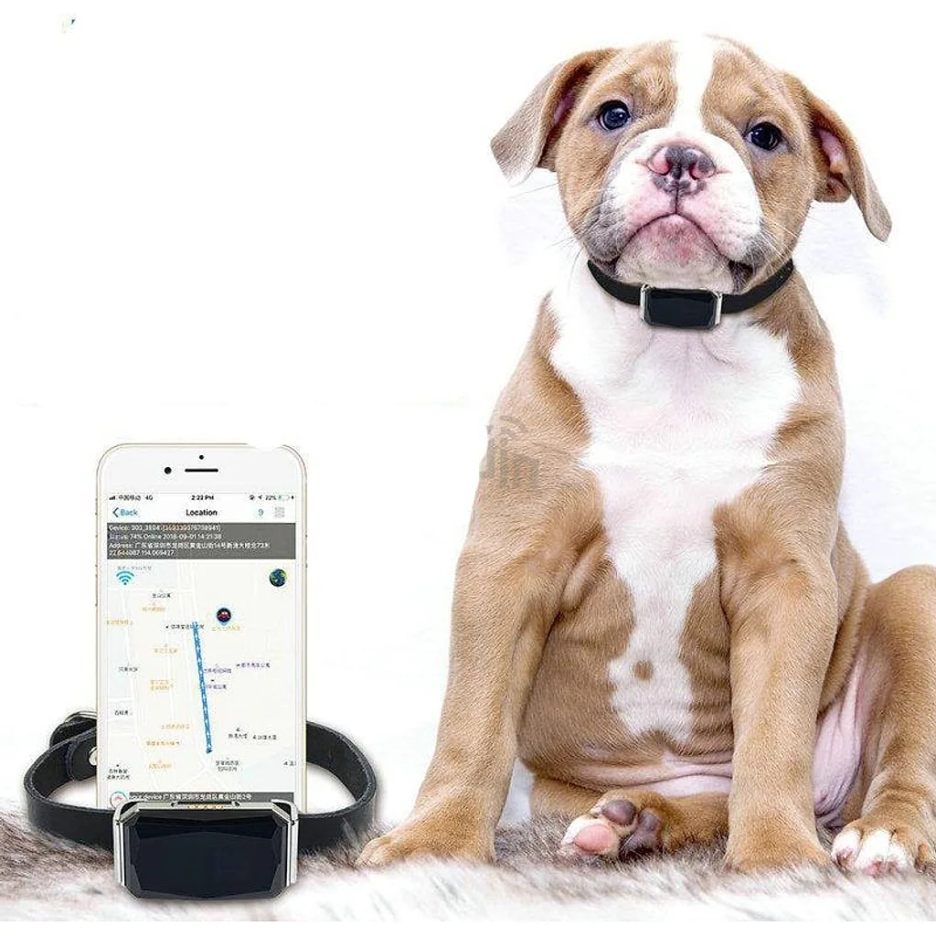 Coleira GPS a prova d'água com microfone e Geofence Docooler Mk2 — imagem 3