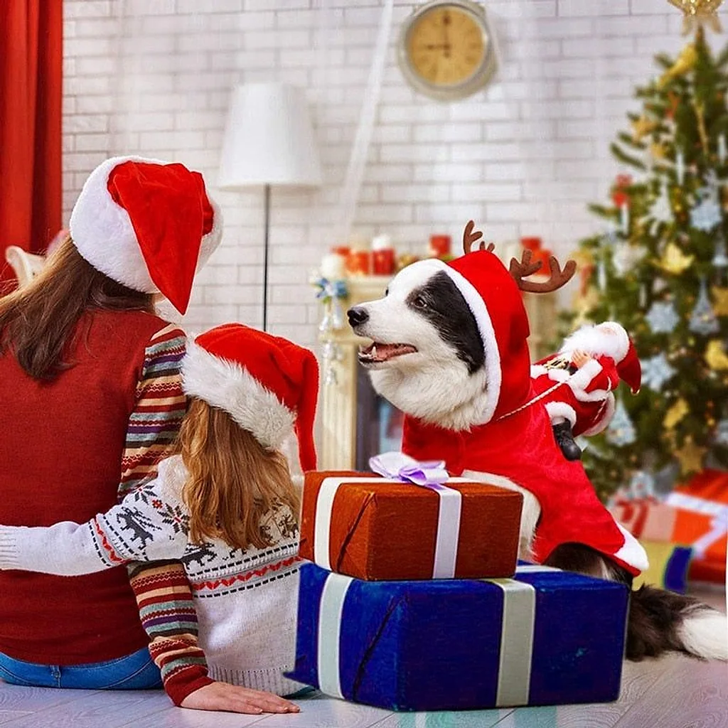 Fantasia Pet Noel | Para Cachorro — imagem 5