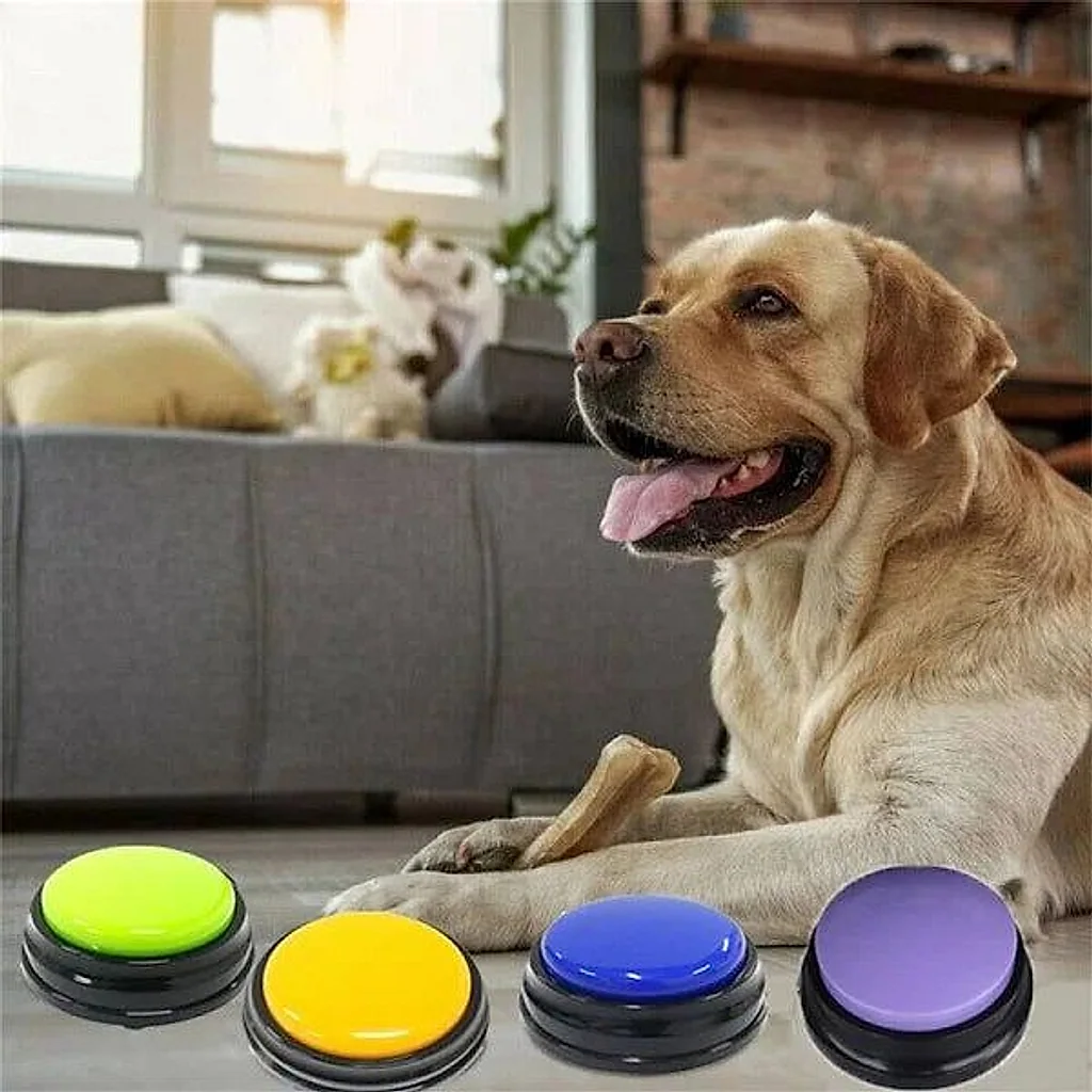 Ensine seu Pet a Falar - Botões Graváveis | Para Cachorro — imagem 11