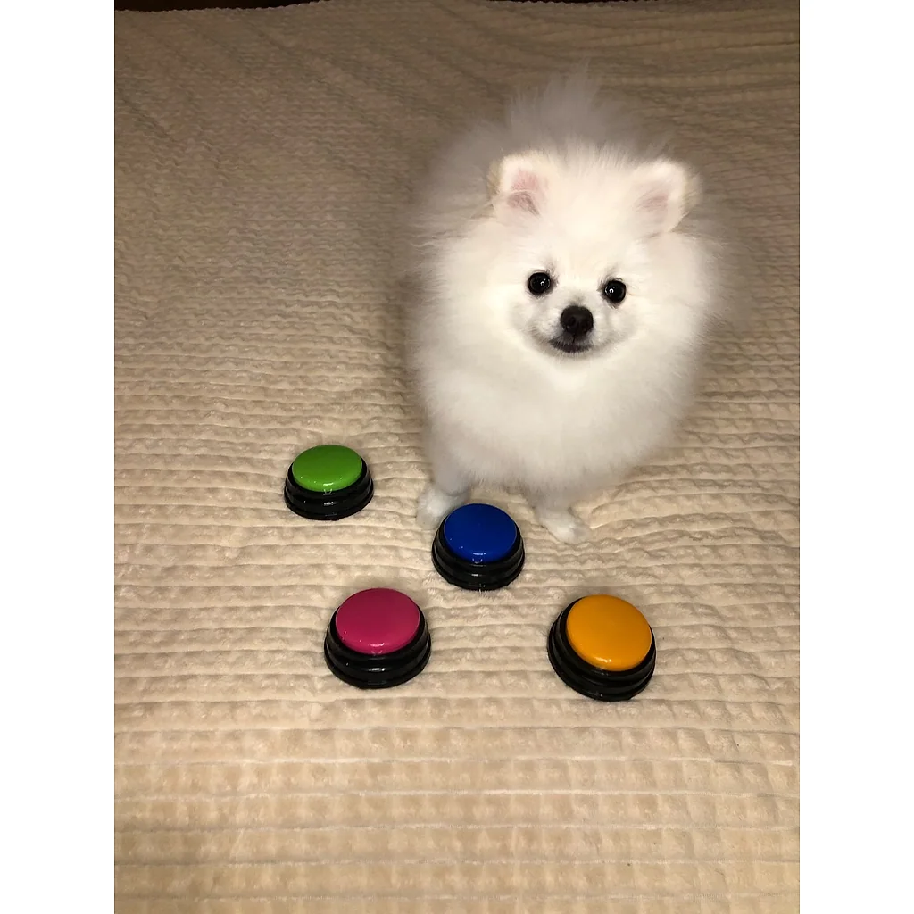 Ensine seu Pet a Falar - Botões Graváveis | Para Cachorro — imagem 7