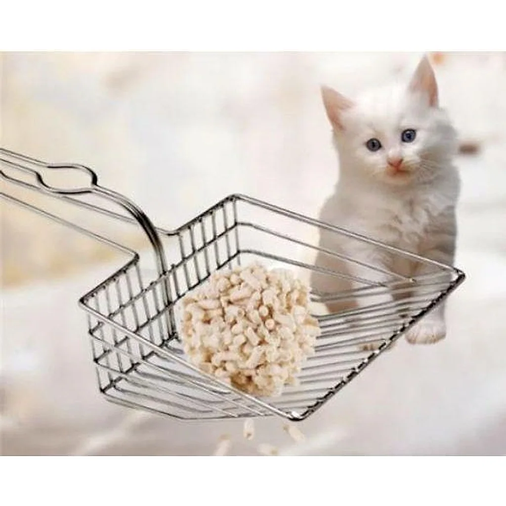 Pazinha Cat Toilet — imagem 2