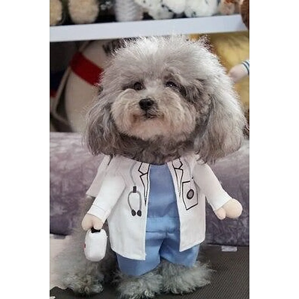 Fantasia Pet Médico | Para Cachorro e Gato