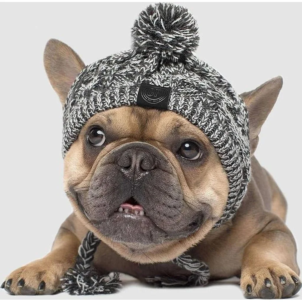 Gorro Pet | Para Cachorro e Gato — imagem 4