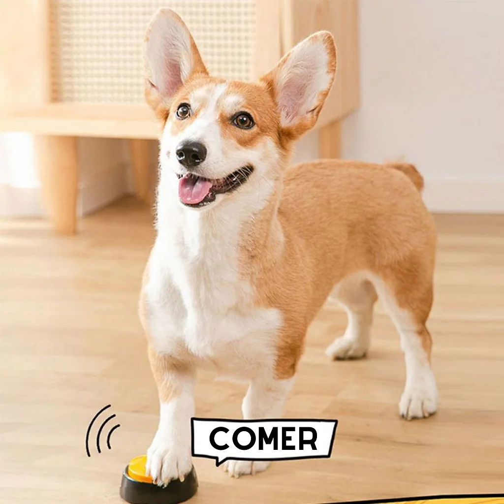 Ensine seu Pet a Falar - Botões Graváveis | Para Cachorro — imagem 2